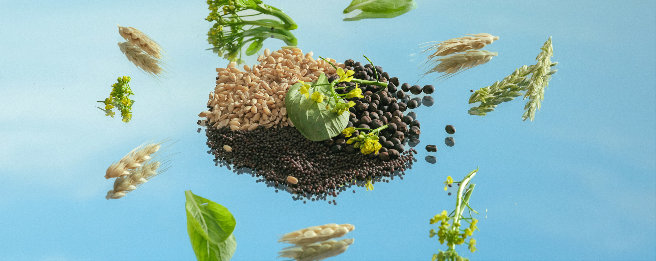 Tất tần tật những điều đặc biệt về sữa hút chân không Vinamilk Green Farm