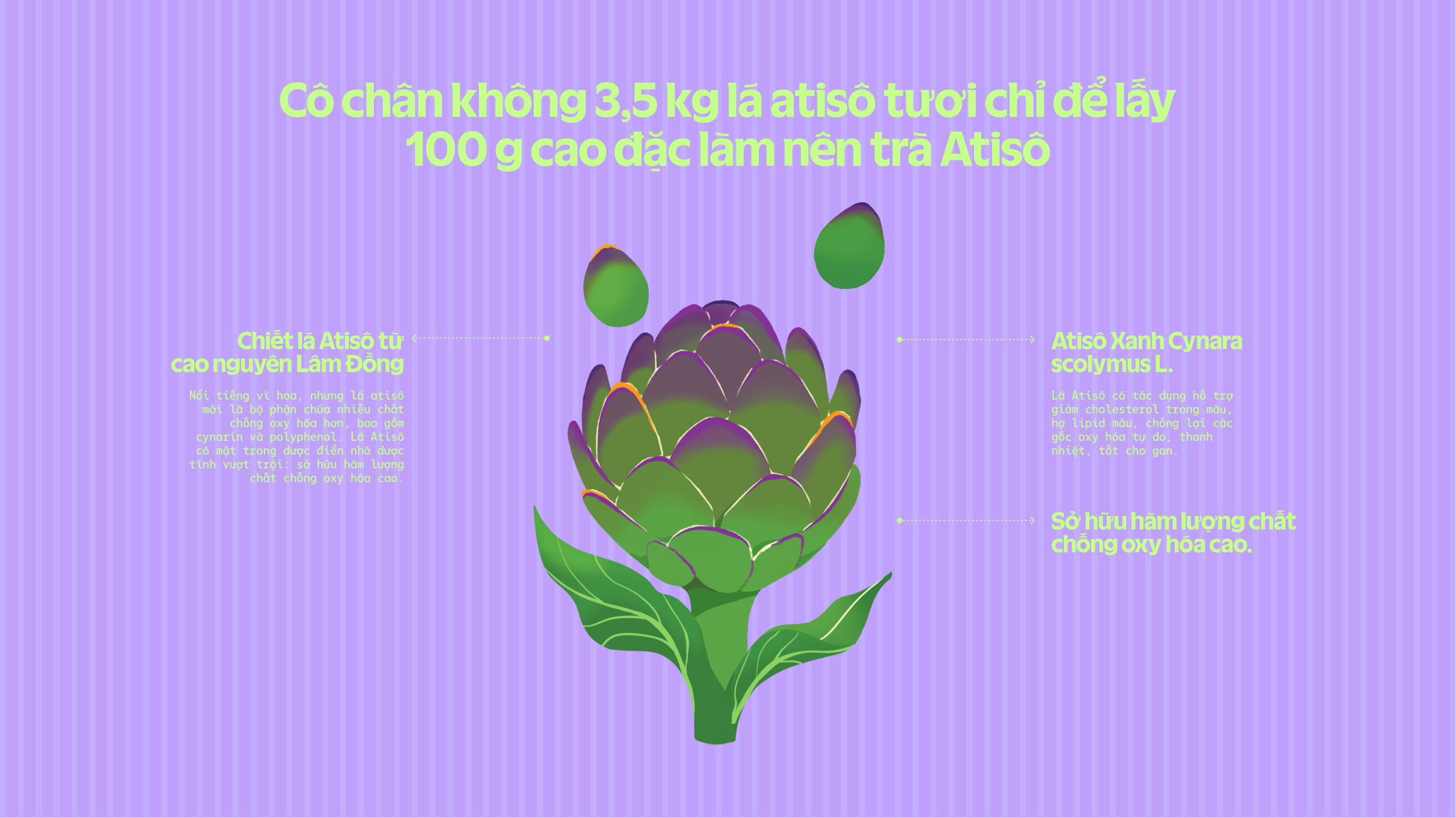 Product Info graphic